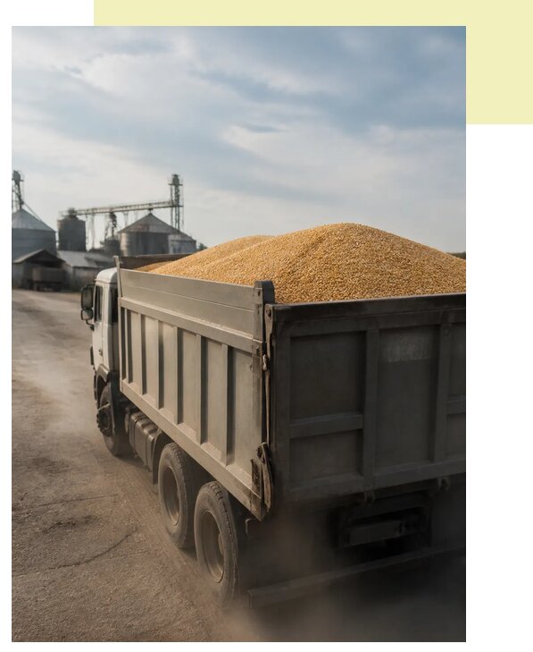 Перевозка сельхозпродукции навалом в Жигулёвск по цене от 3036 р. | Агросервис-Жгл